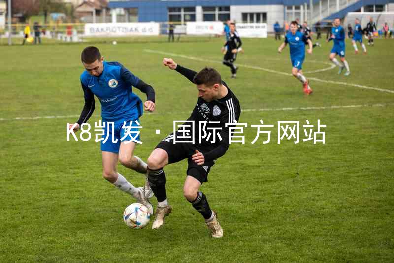 K8凯发·国际官方网站