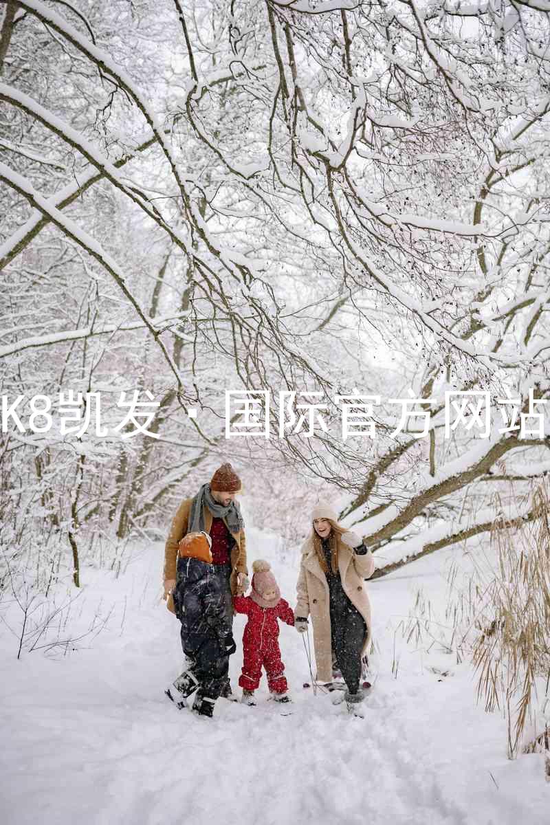 K8凯发·国际官方网站